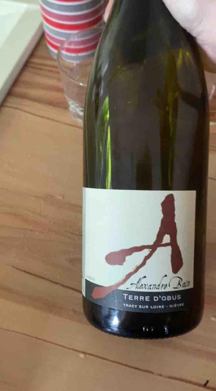 Pierre Précieuse - Domaine Alexandre Bain - Alexandre Bain 