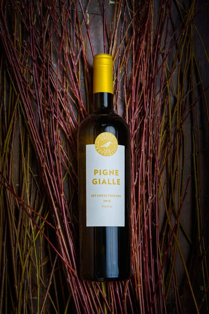 Pigne gialle - Colle delle 100 Bottiglie - Roberto Nannini -2025
