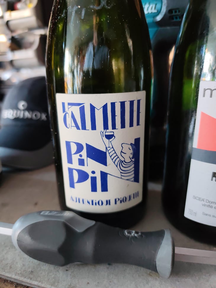 PIN PIN - Domaine la Calmette - Maya Sallée & Nicolas Fernandez -2018