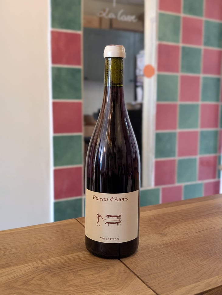 Pineau d'Aunis - Clos du Tue-Bœuf - Zoé, Louise & Thierry Puzelat 