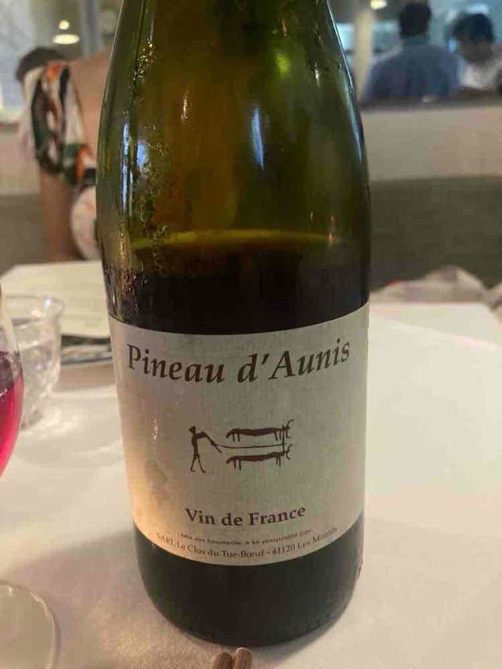 Pineau d'Aunis - Clos du Tue-Bœuf - Zoé, Louise & Thierry Puzelat 