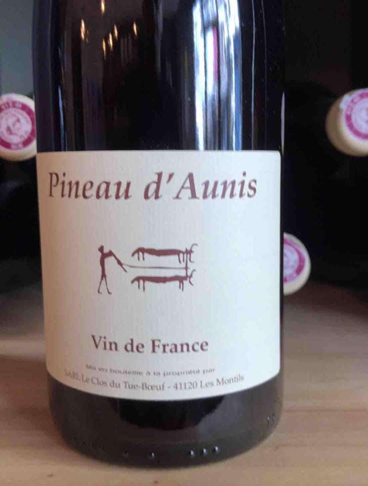 Pineau d'Aunis - Clos du Tue-Bœuf - Zoé, Louise & Thierry Puzelat 