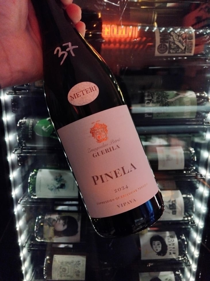 Pinela - Guerila - Zmagoslav Petrič 
