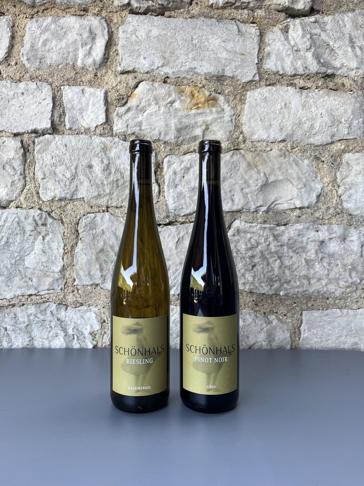 Pinot Noir Löss - Weingut Schönhals - Hanneke & Christoph Hosseus-Schönhals -2022