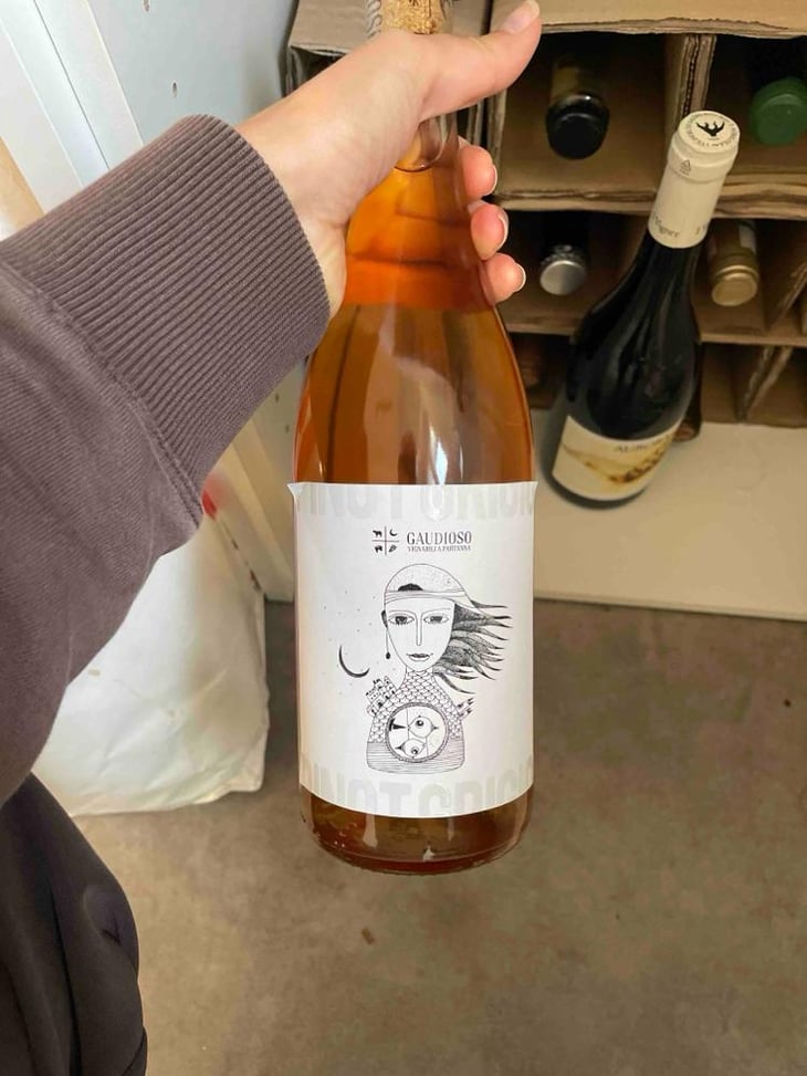 Pinot Grigio - Azienda Agricola Gaudioso - Antonio & Rosa Gaudioso 
