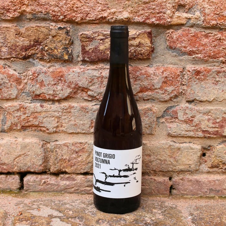 PINOT GRIGIO - Voltumna - Marzio Politi 