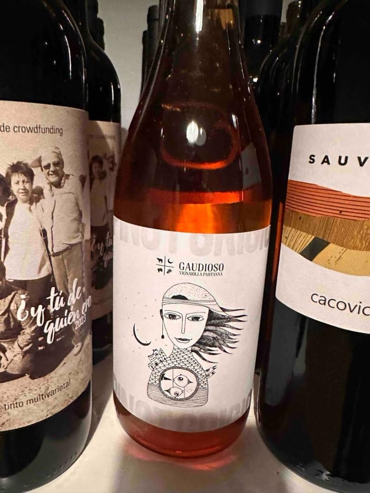 Pinot Grigio - Azienda Agricola Gaudioso - Antonio & Rosa Gaudioso 