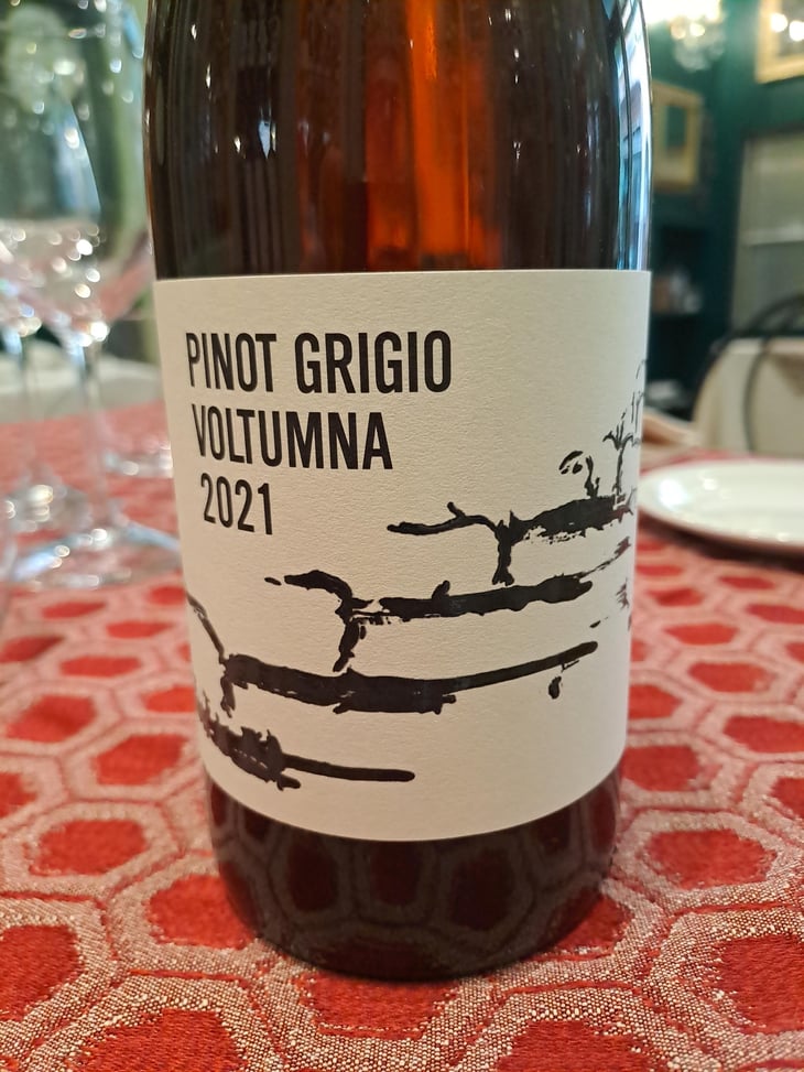 PINOT GRIGIO - Voltumna - Marzio Politi 