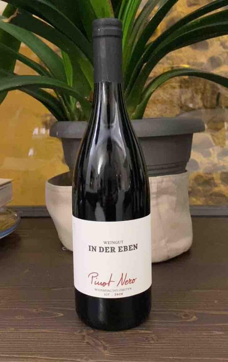 Pinot Nero - Weingut In Der Eben - Urban Plattner -2019