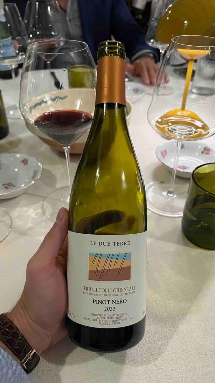 Pinot Nero - Azienda Agricola Macea - Cipriano & Antonio Barsanti 