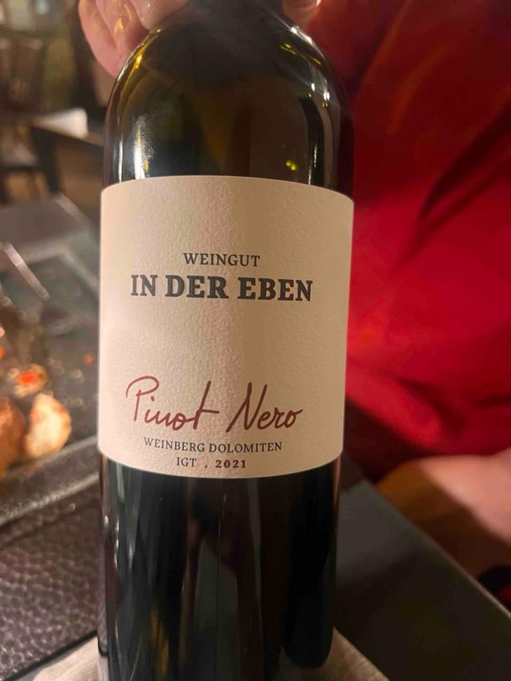 Pinot Nero - Weingut In Der Eben - Urban Plattner -2019