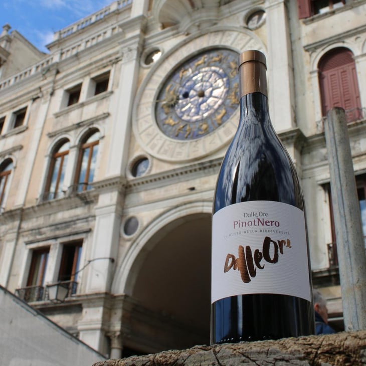 Pinot nero - Tenuta Dalle Ore - Marco Margoni -2022