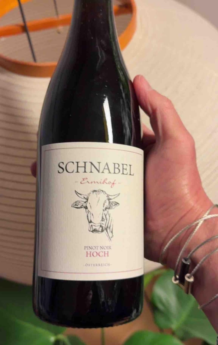 Pinot Noir Koregg - Weingut Karl Schnabel - Karl & Eva Schnabel -2019