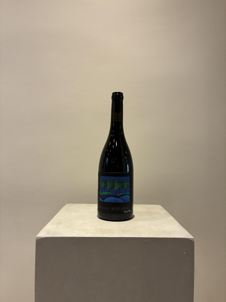 Pinot Noir - Domaine Miolanne - Jean-Baptiste Deroche & Laure Cartier 