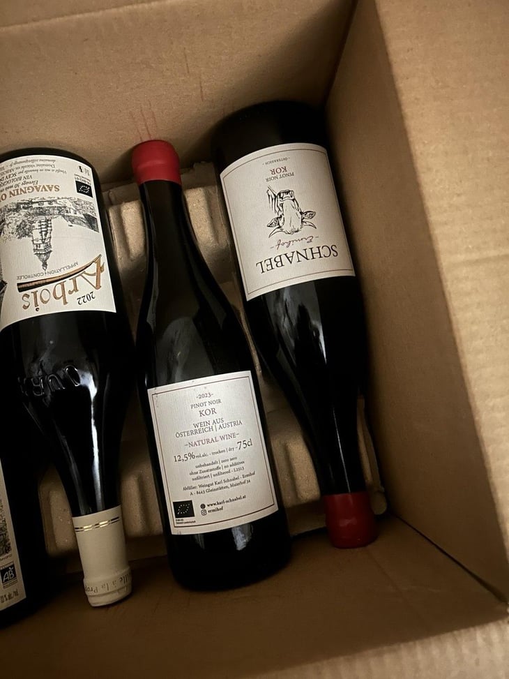Pinot Noir Koregg - Weingut Karl Schnabel - Karl & Eva Schnabel -2019