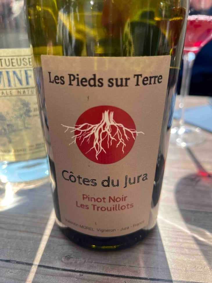 Pinot Noir Les Trouillots - Les Pieds Sur Terre - Valentin Morel 