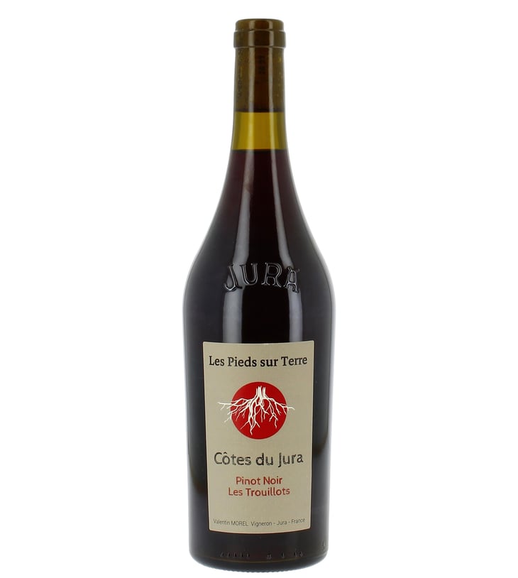 Pinot Noir Les Trouillots - Les Pieds Sur Terre - Valentin Morel 