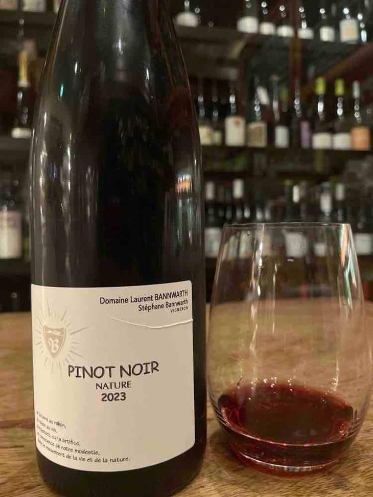Pinot Noir - Laurent Bannwarth - Stéphane Bannwarth 