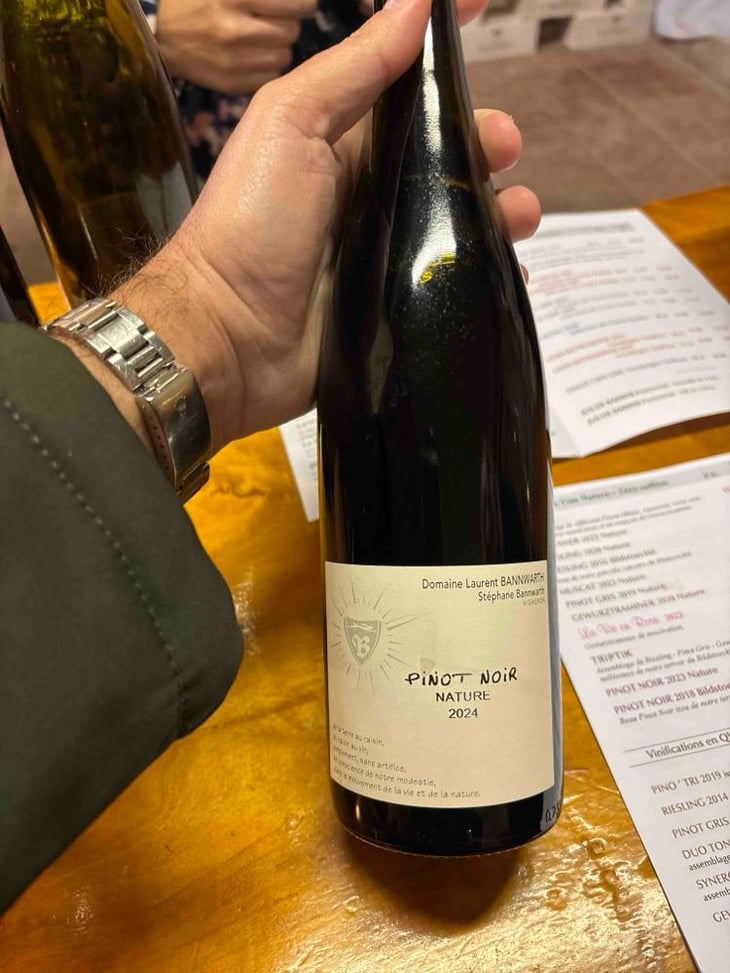 Pinot Noir - Laurent Bannwarth - Stéphane Bannwarth 