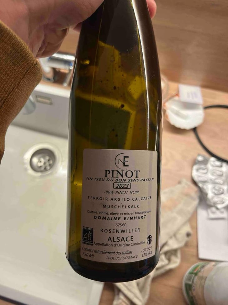 Pinot Noir - Domaine Einhart - Nicolas & Théo EINHART 