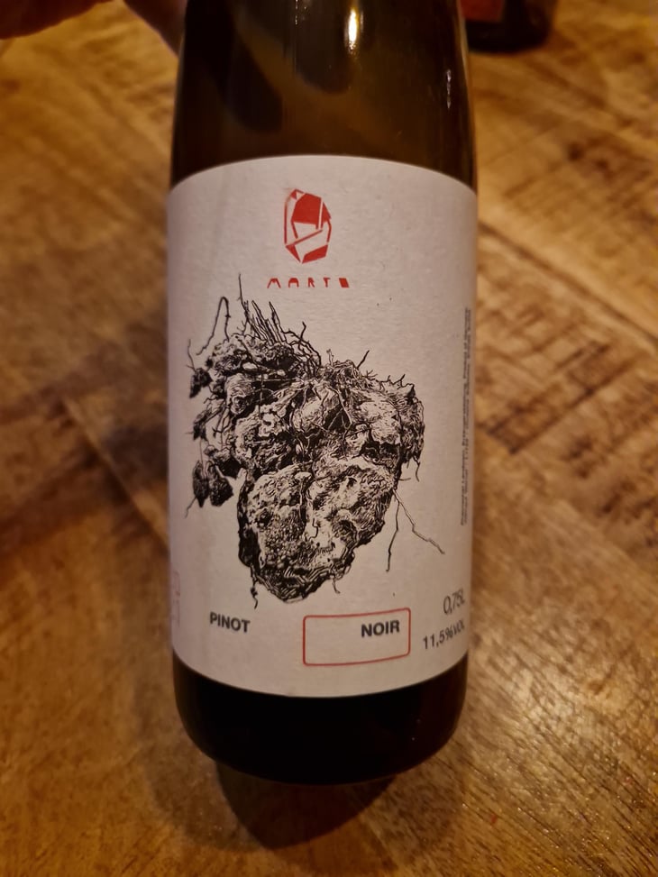 Pinot Noir - Marto Wines - Weingut Wörner - Martin Wörner -2021