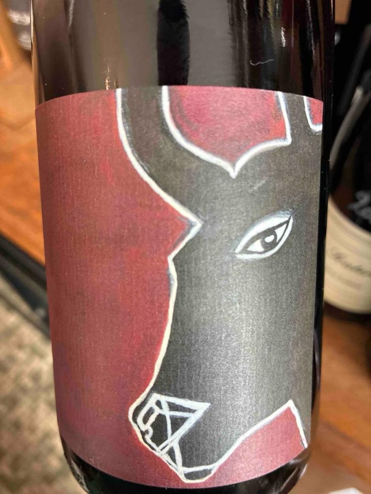 Pinot Noir Stierkopf - Domaine Rietsch - Jean-Pierre & Sophie Rietsch -2021