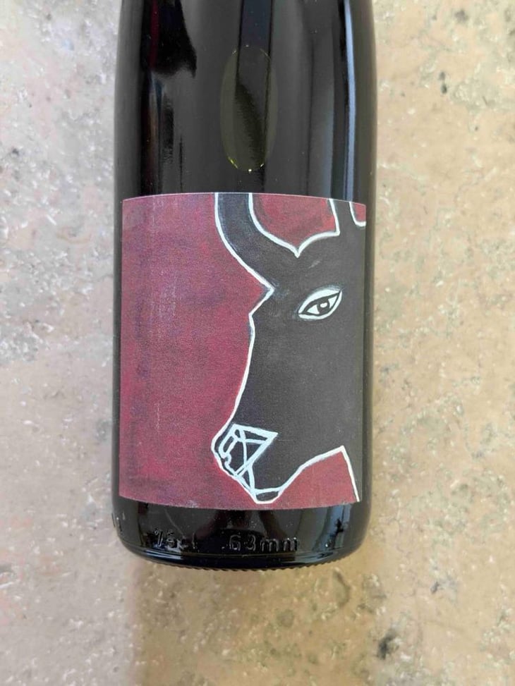 Pinot Noir Stierkopf - Domaine Rietsch - Jean-Pierre & Sophie Rietsch -2021