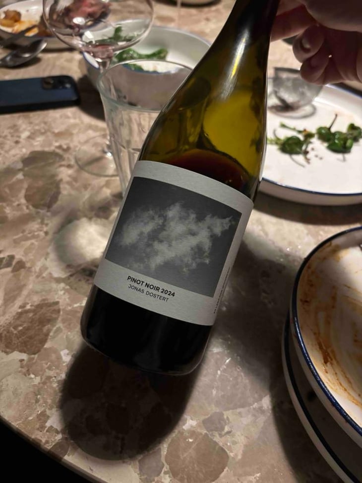 Pinot Noir 2019 - Jonas Dostert - Jonas Dostert -2019