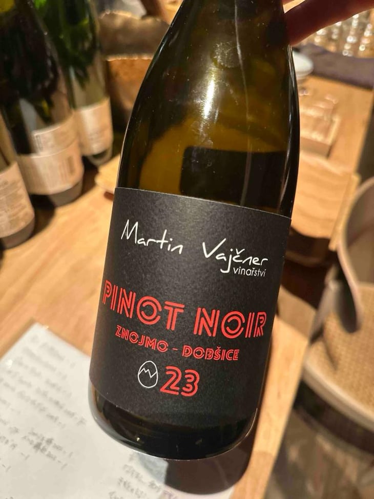 Pinot Noir - Martin Vajčner - Martin Vajčner -2023