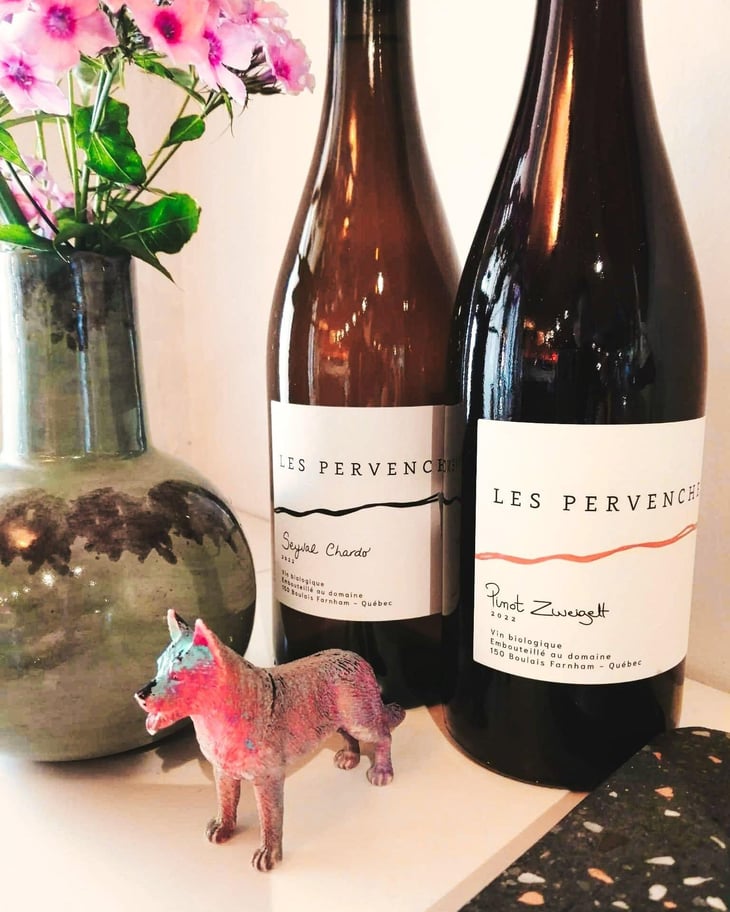 Pinot Zweigelt - Les Pervenches - Véronique Hupin & Michael Marler 