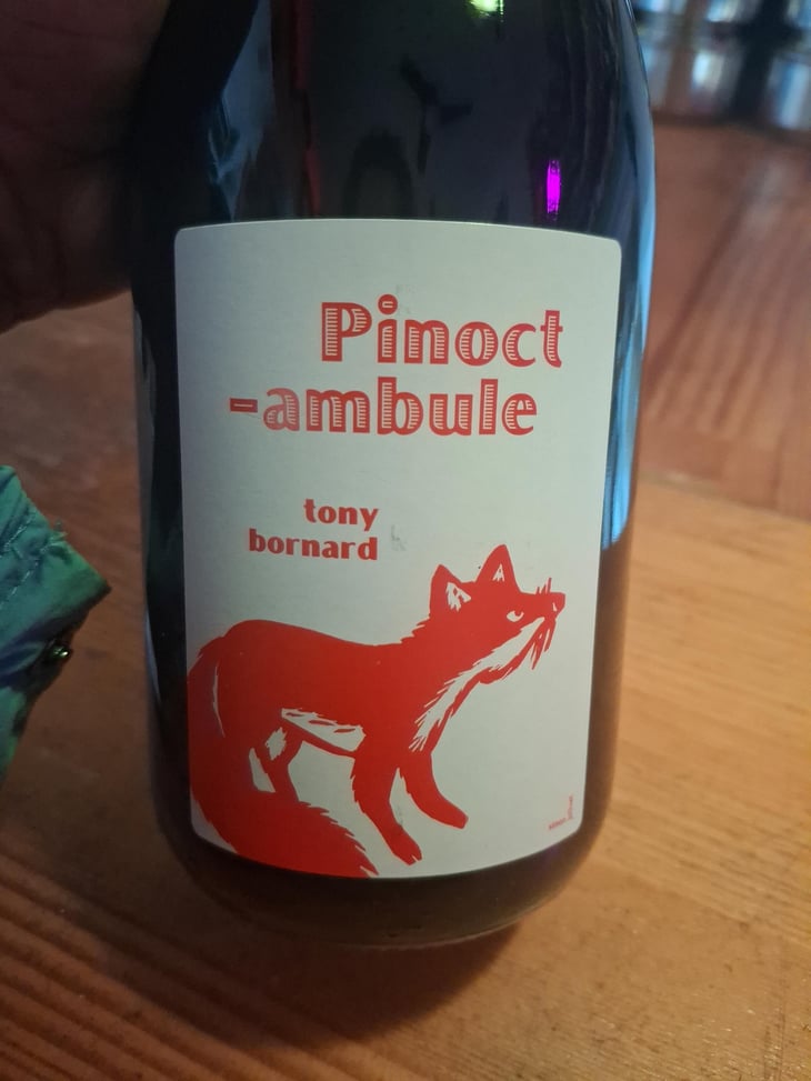 Pinotctambule - Domaine Bornard - Tony Bornard 