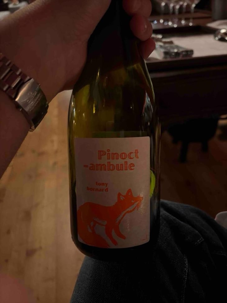 Pinotctambule - Domaine Bornard - Tony Bornard 