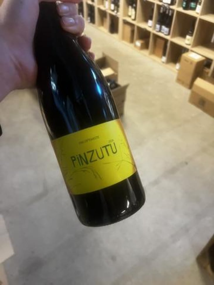 Pinzutu - Domaine de Sulauze - Karina & Guillaume Lefèvre 