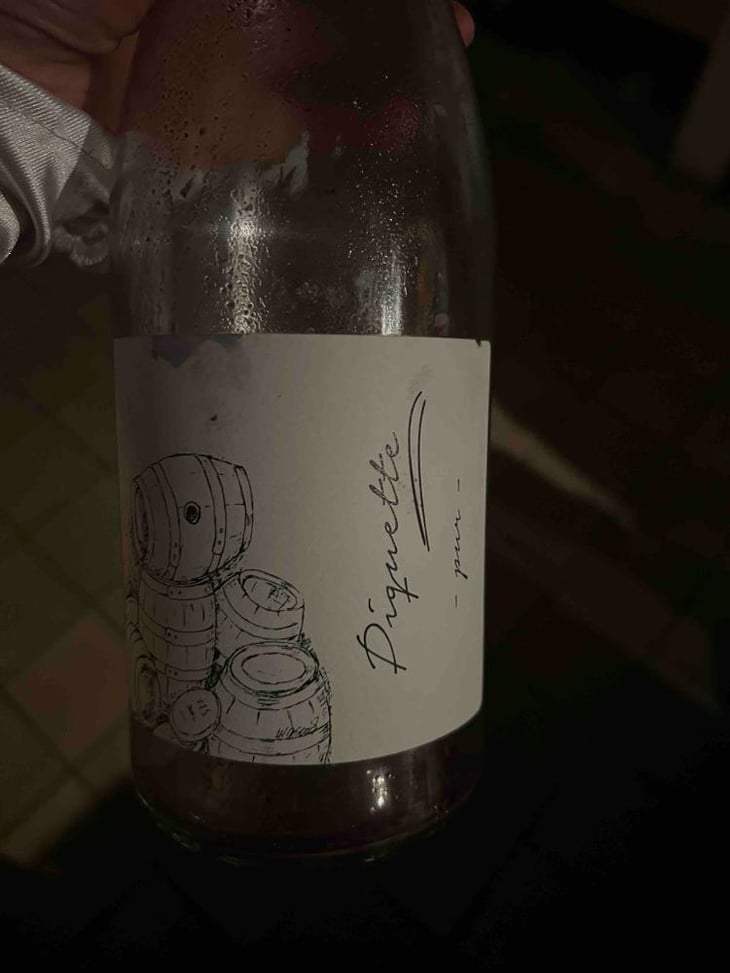 Piquette - Brand Bros - Weingut Brand - Daniel & Jonas Brand -2022