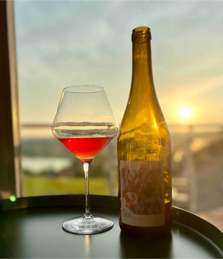 Plasma - Domaine de la Petite Soeur - Adrien de Mello -2023