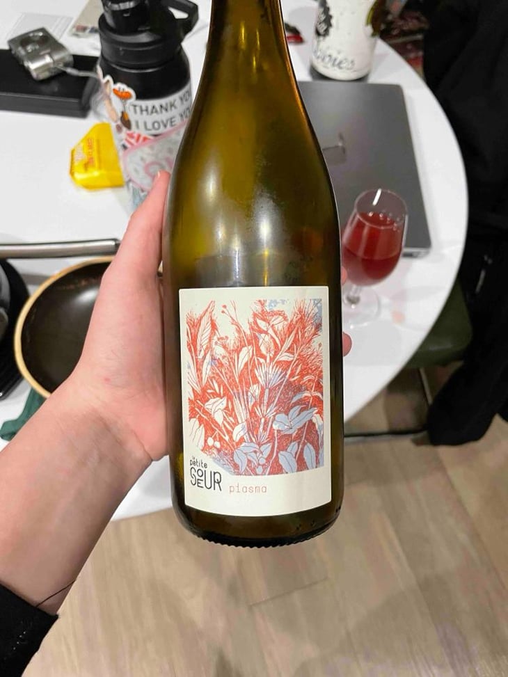 Plasma - Domaine de la Petite Soeur - Adrien de Mello -2023