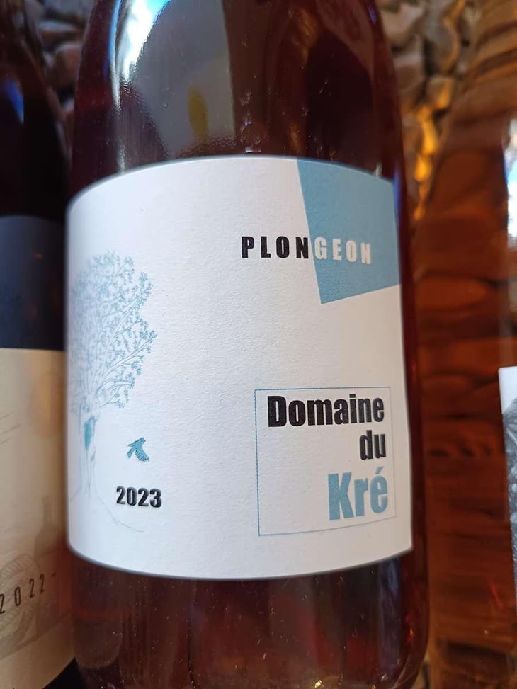 Plongeon - Domaine du Kré - Louise Perret et Niels de Chardon -2023