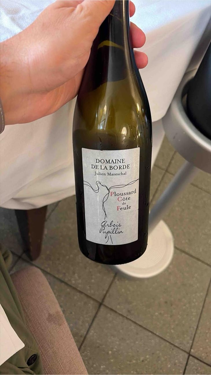 Ploussard Côte de Feule - Domaine de la Borde - Julien Mareschal 
