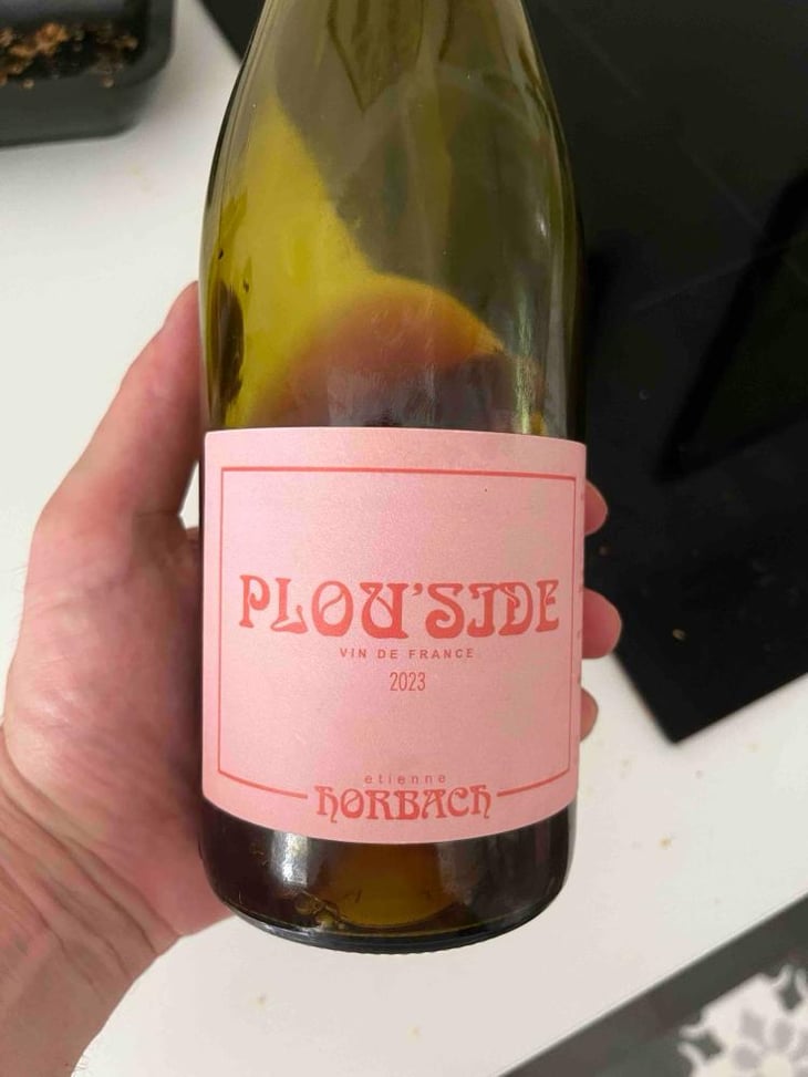 Plous’side - Étienne Horbach - Étienne Horbach -2023