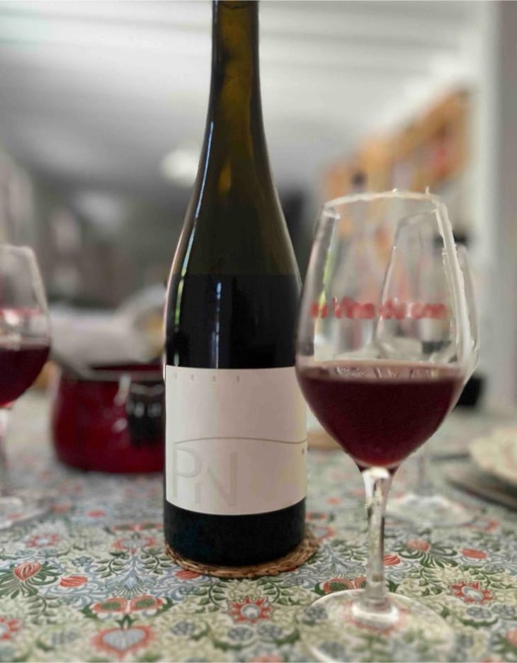 PN - Domaine de la Colline - Bruno & Sylvain LEBRUN -2023