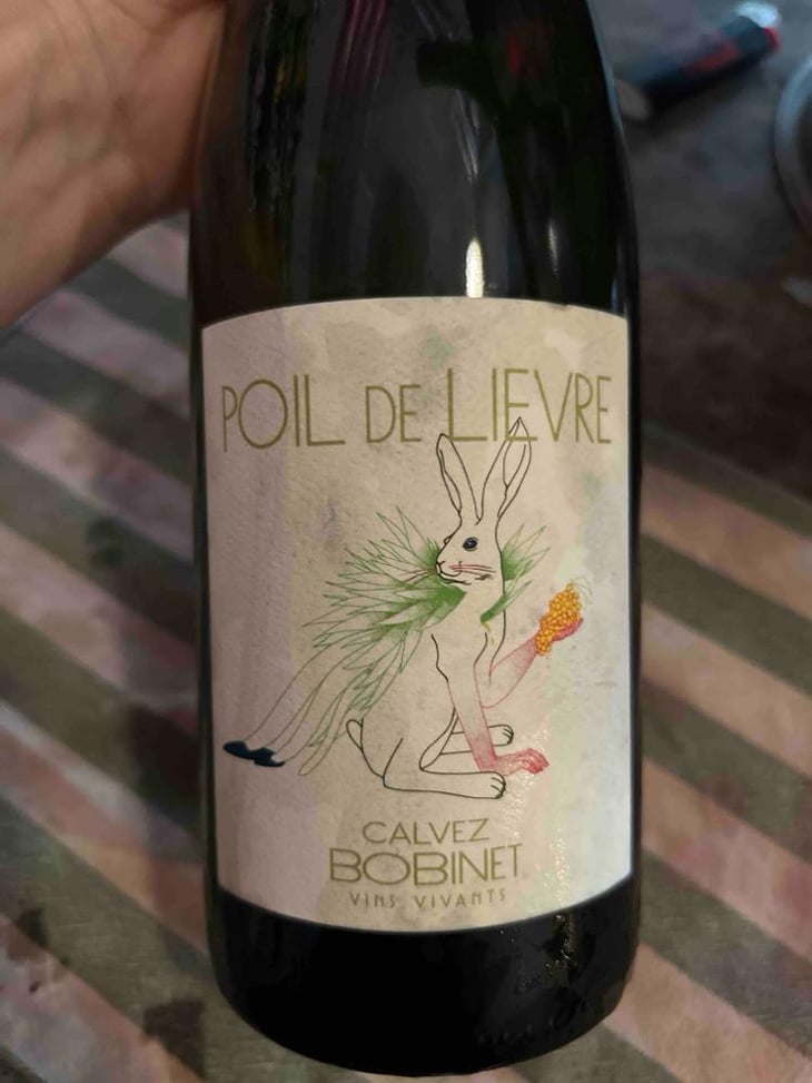 Poil de Lievre - Domaine Calvez-Bobinet - Sébastien Bobinet & Émeline Calvez 