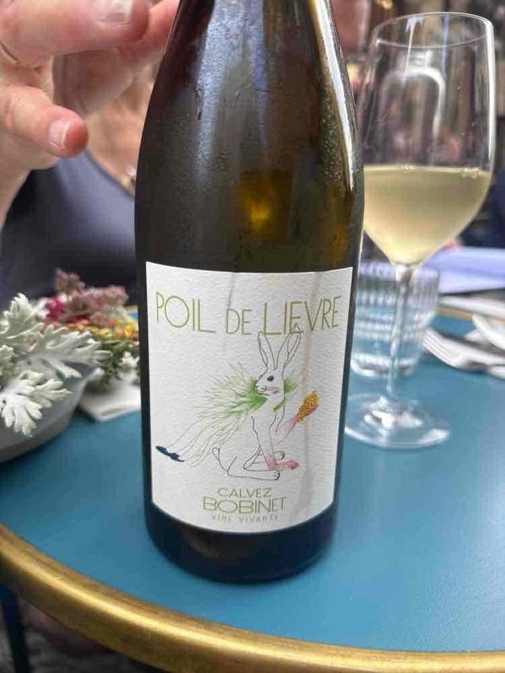 Poile de Lièvre 2025 - Domaine Calvez-Bobinet - Sébastien Bobinet & Émeline Calvez -2025