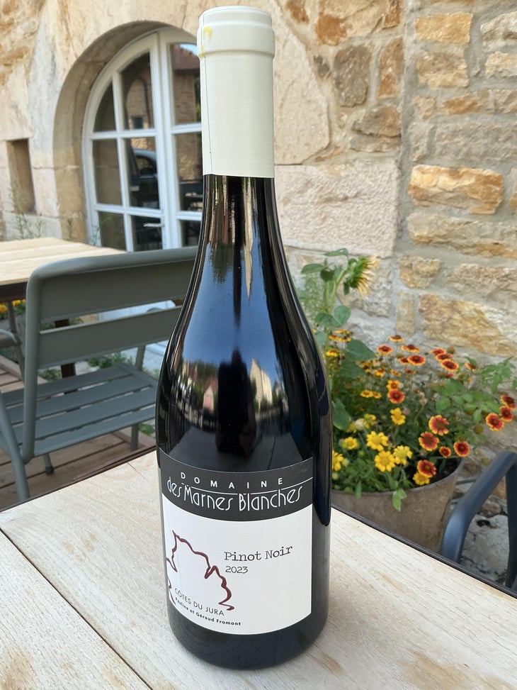 Pont noir - Domaine Des Marnes Blanches - Pauline & Géraud Fromont 