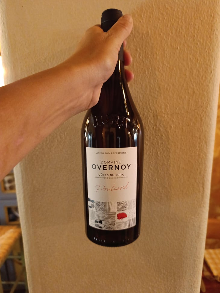 Poulsard - Domaine Overnoy - Guillaume Overnoy -2020