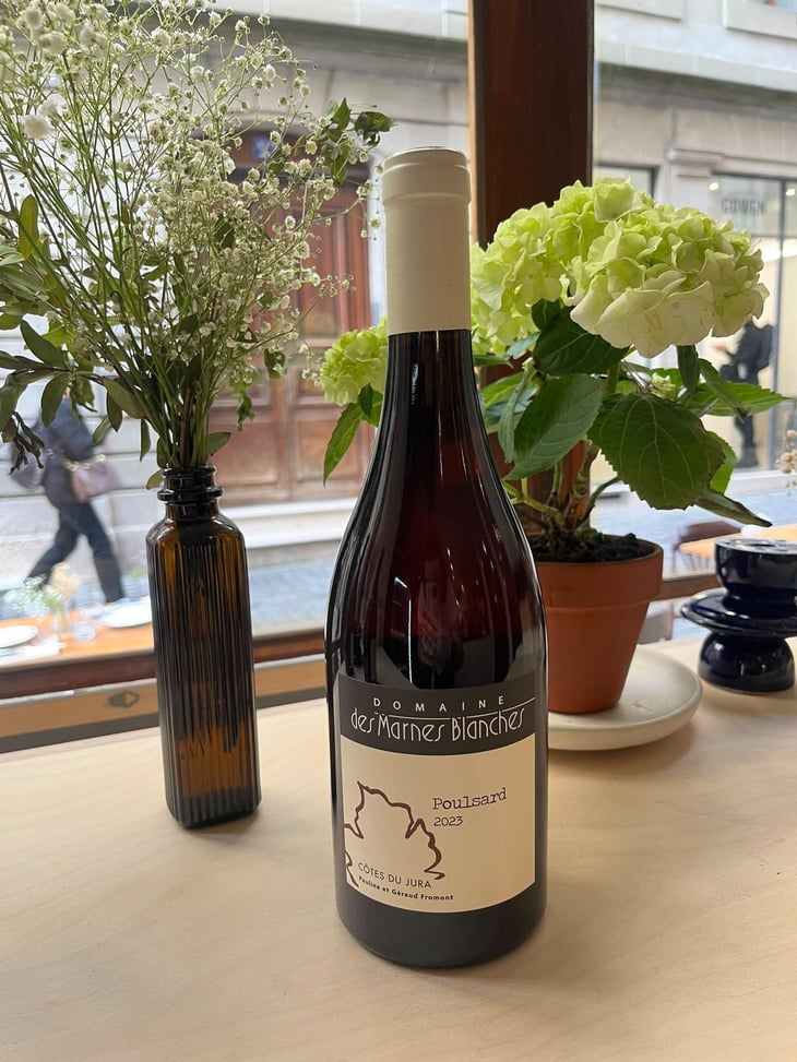 Poulsard - Domaine Des Marnes Blanches - Pauline & Géraud Fromont 