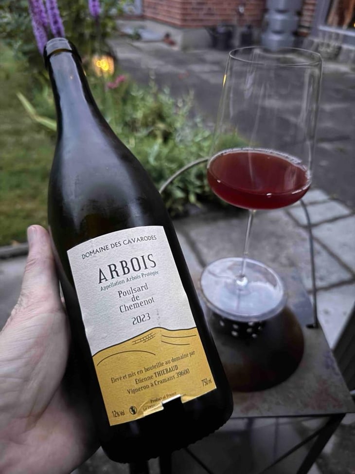 Poulsard de Chemenot - Domaine des Cavarodes - Etienne Thiebaud 