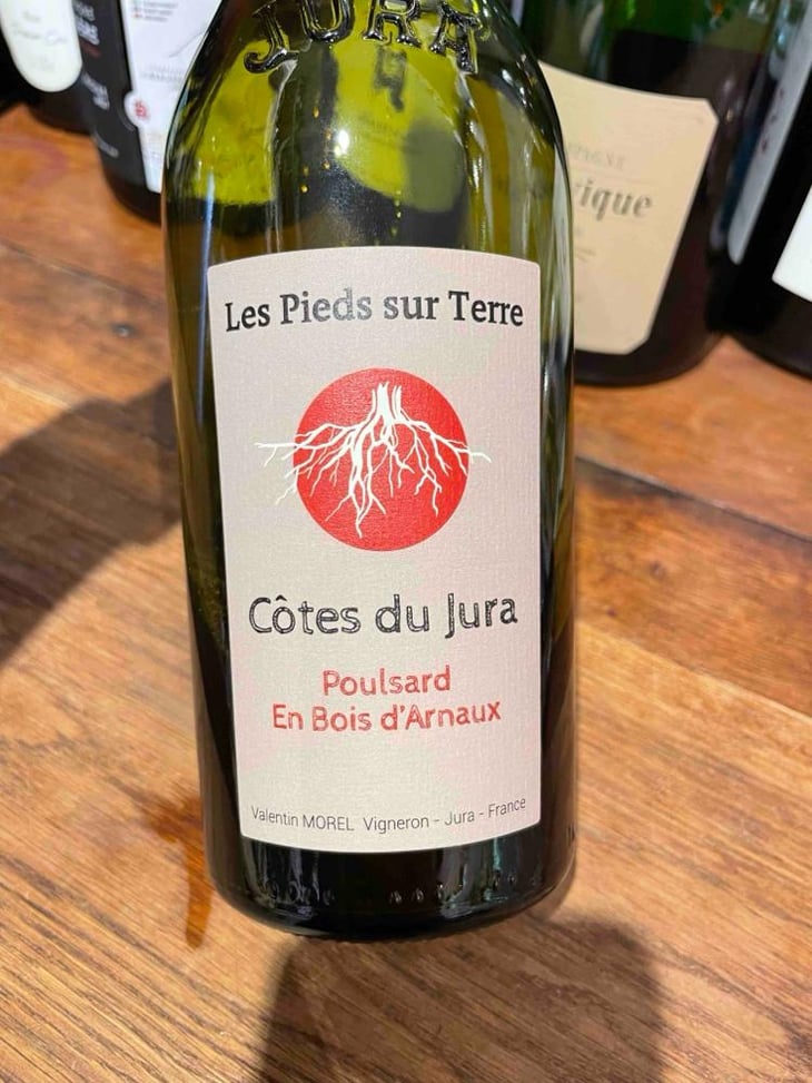 Poulsard En Bois d'Arnaux - Les Pieds Sur Terre - Valentin Morel -2022