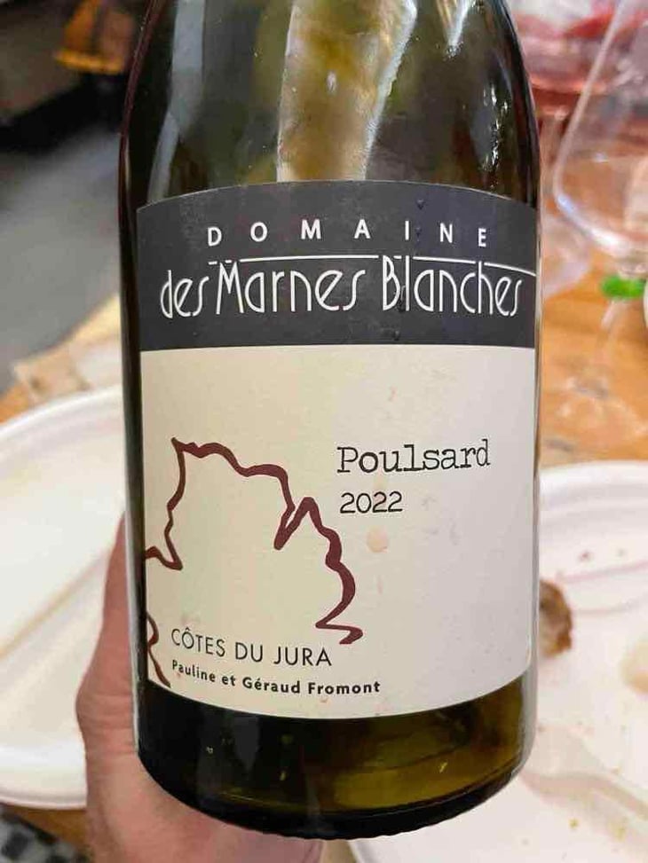 Poulsard - Domaine Des Marnes Blanches - Pauline & Géraud Fromont 