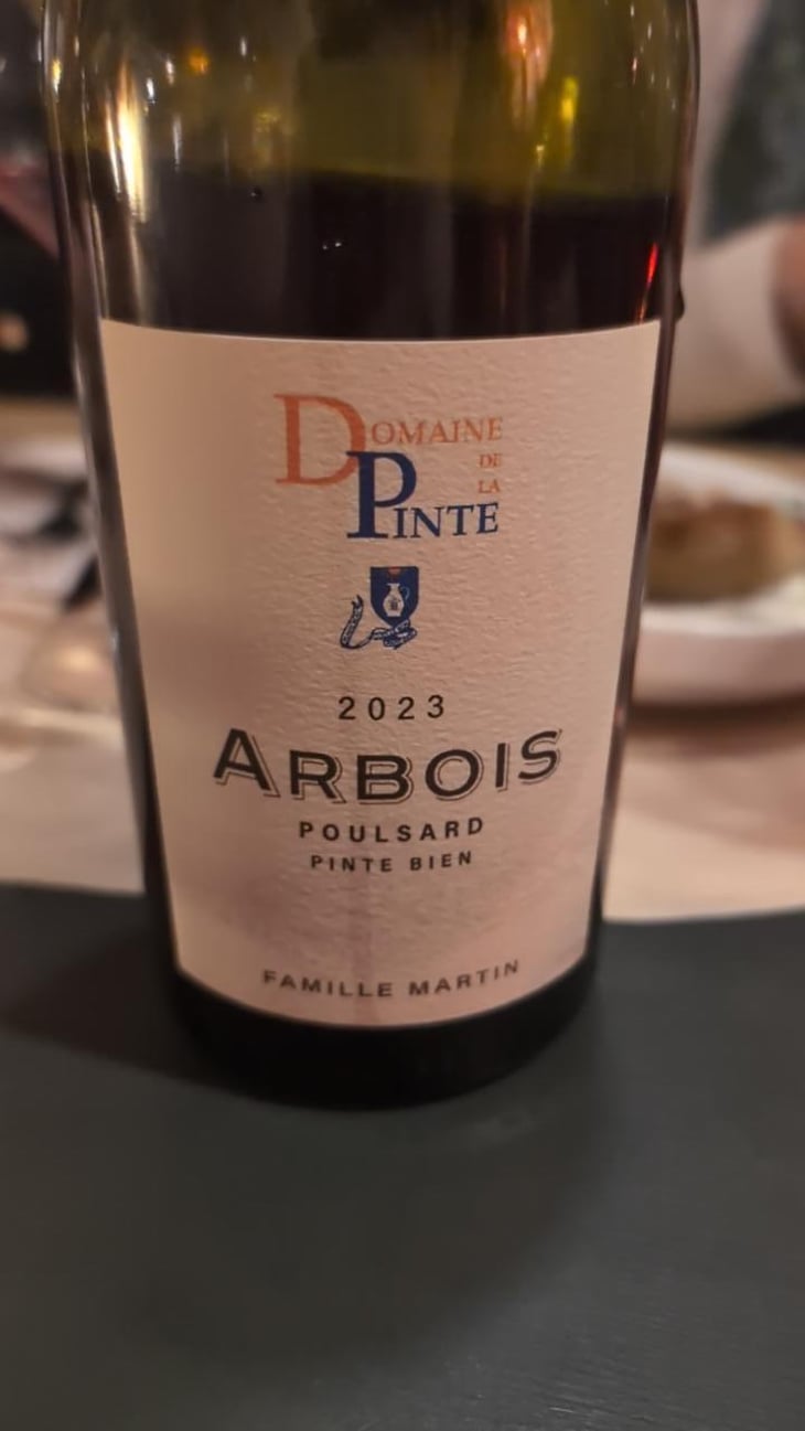 Poulsard Pinte Bien - Domaine de la Pinte - Pierre Martin 