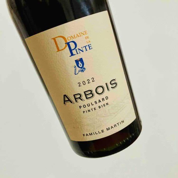 Poulsard Pinte Bien - Domaine de la Pinte - Pierre Martin 